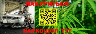 прущие грибы Мариинск