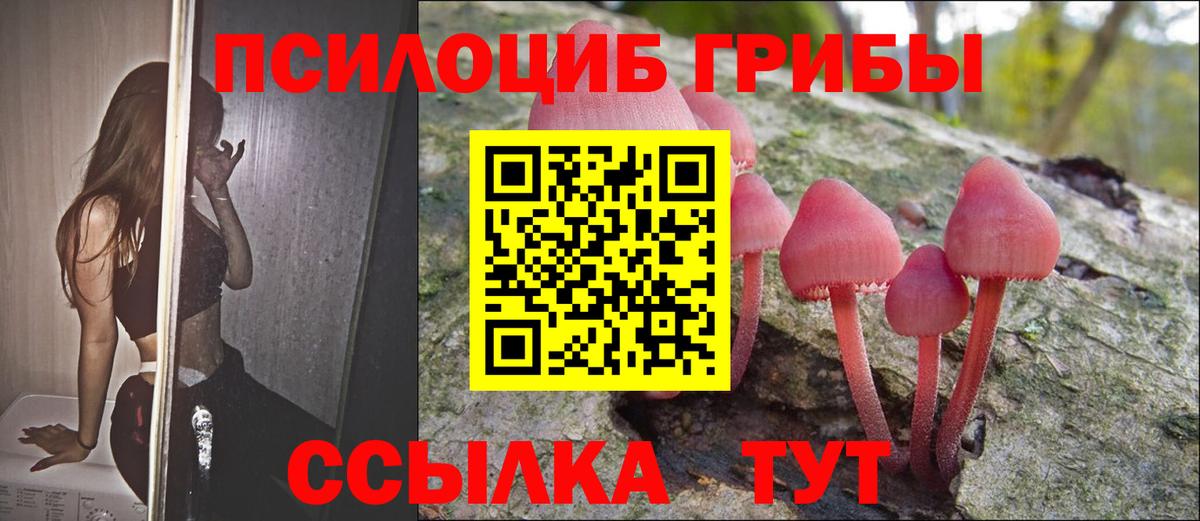 Галлюциногенные грибы GOLDEN TEACHER  Вход с VPN  Дальнегорск 