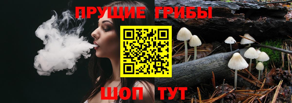 Псилоцибиновые грибы мицелий Дальнегорск